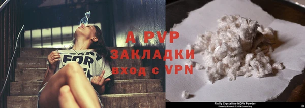 apvp Белокуриха