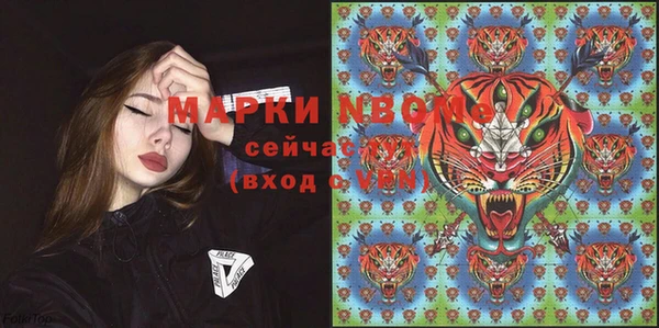 apvp Белокуриха